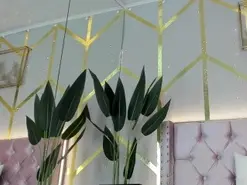 Lola_saenz  live sex cam