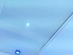 Leia_laurent  live sex cam