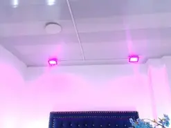 Leia_laurent  live sex cam