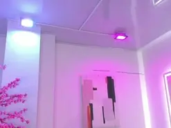 Leia_laurent  live sex cam