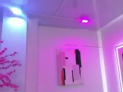Leia_laurent  live sex cam