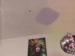 Francheskapower  live sex cam