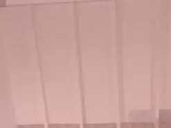 AriRobertt  live sex cam