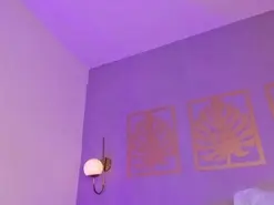 Majo_rose  live sex cam