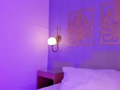Majo_rose  live sex cam