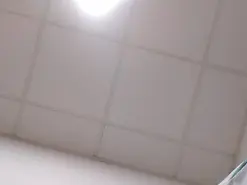 Nhernandez  live sex cam