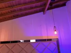 CelesteMoon1  live sex cam
