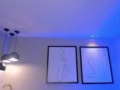 CelesteMoon1  live sex cam