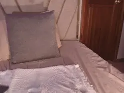 CelesteQueen  live sex cam