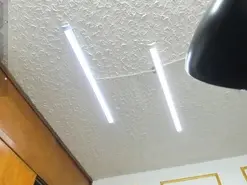 Celeste_cortes  live sex cam