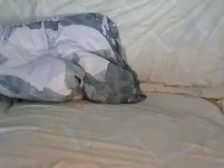 Xulita3  live sex cam