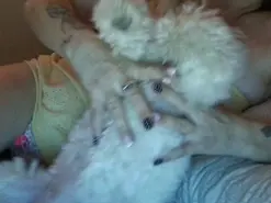 Xulita3  live sex cam