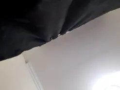 Kitty_pi  live sex cam