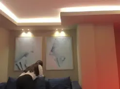 BeccaBaxter  live sex cam