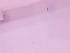 AndreaSweet2  live sex cam