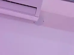 AndreaSweet2  live sex cam