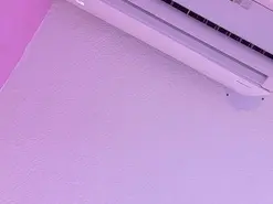 AndreaSweet2  live sex cam
