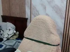 Camilavargas_  live sex cam