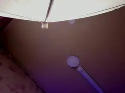 Morana1  live sex cam