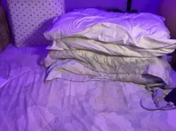 Sofilasanta  live sex cam