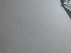 Valeri_sotoo  live sex cam