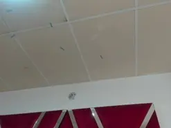 Agogoht  live sex cam