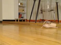 Ukk_bitt  live sex cam