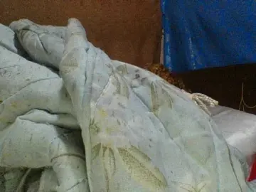 Amanah  live sex cam