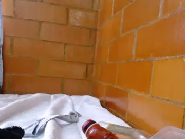 Charlotemple5  live sex cam