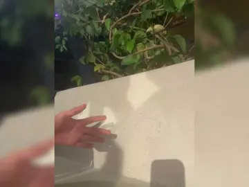 Lucygirl-  live sex cam