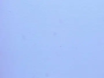 MiaaDavis  live sex cam