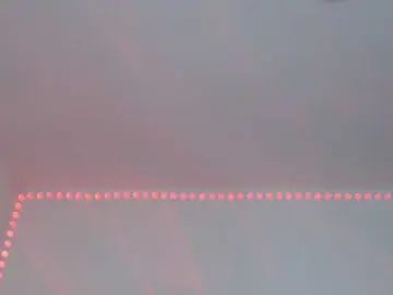 Flacapaola11  live sex cam