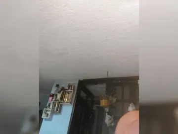 Karolfox  live sex cam