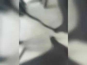 TessaBlossom  live sex cam