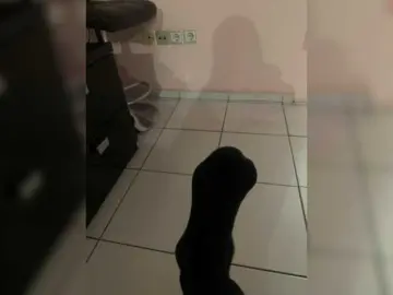 Avrora09  live sex cam