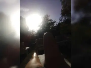 Ladywet  live sex cam
