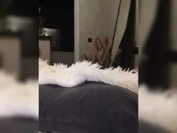 Sofaa  live sex cam