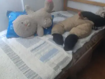 Meganny2023  live sex cam