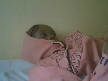 SexyAmelia1  live sex cam