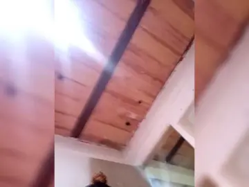 Bunnynasty888  live sex cam