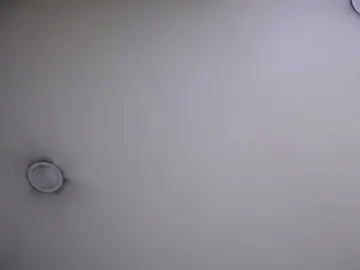 Domincka  live sex cam