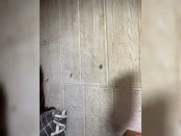 Asiankitties  live sex cam