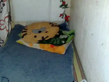 Asiankitties  live sex cam