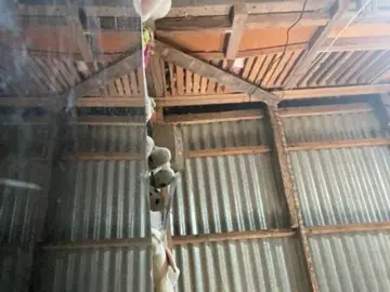 Asiankitties  live sex cam