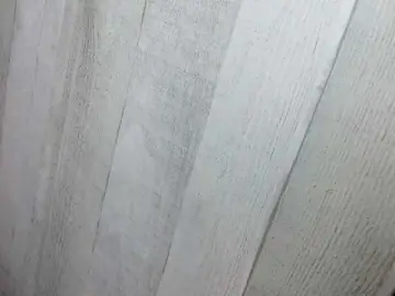 Asiankitties  live sex cam