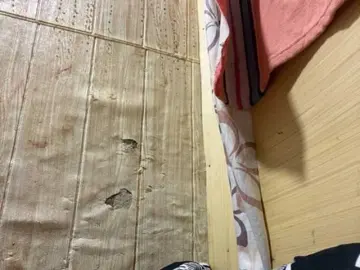 Asiankitties  live sex cam