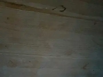Asiankitties  live sex cam