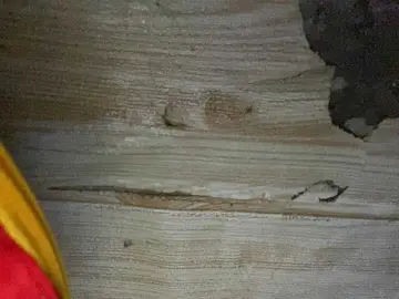 Asiankitties  live sex cam