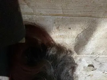 Asiankitties  live sex cam