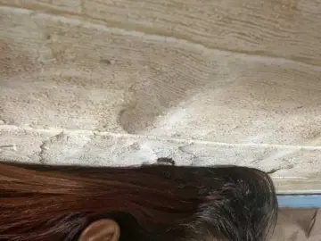 Asiankitties  live sex cam